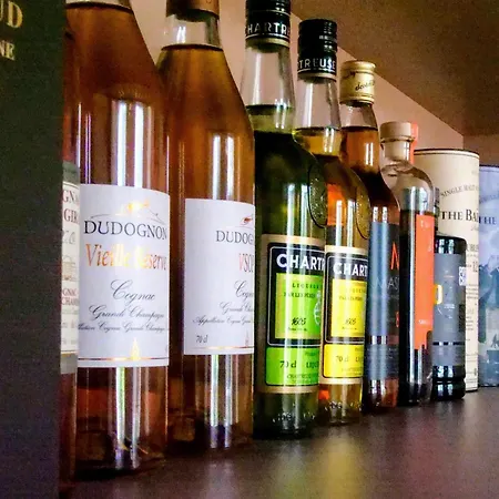 Chateau - Domaine De Coeurmandie 酒店